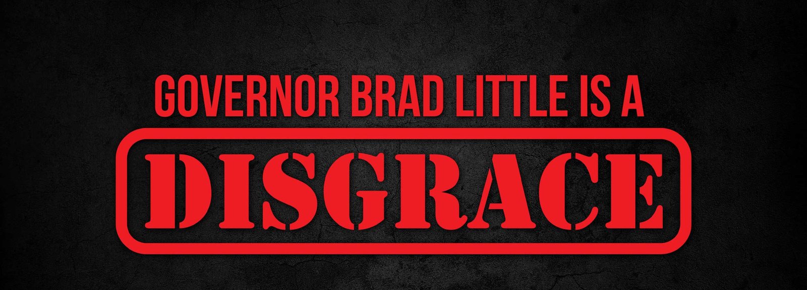 Recall Brad Little Banner